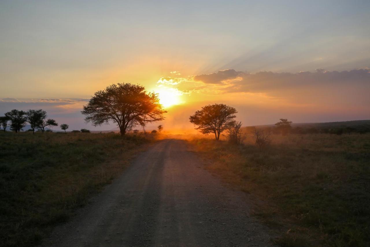 Osero Serengeti Luxury Tented Camp Banagi Exterior photo